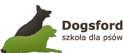 Dogsford – szkolenie psów Gdynia, Sopot