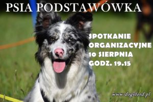 Read more about the article Psia podstawówka