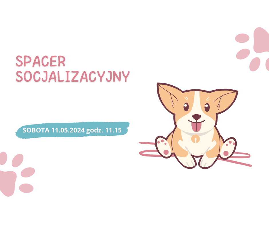 Read more about the article Spacer socjalizacyjny