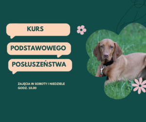 Read more about the article Weekendowy kurs posłuszeństwa