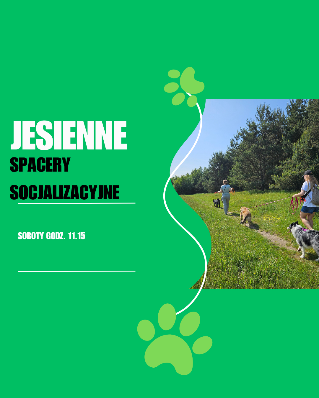 Read more about the article Jesienne spacery socjalizacyjne