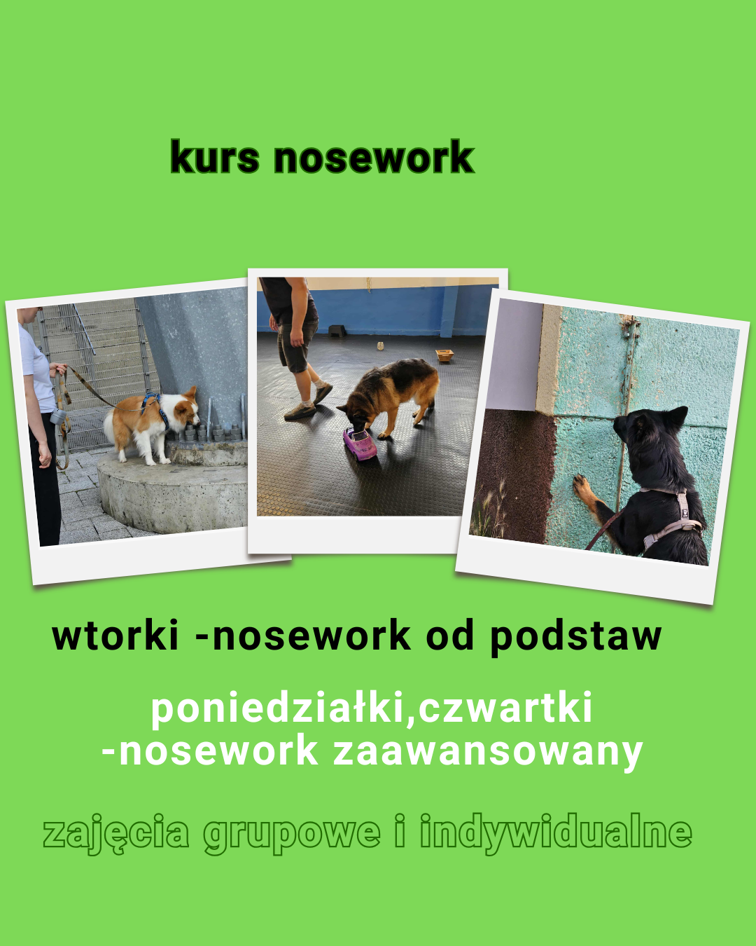 Read more about the article Zajęcia z noseworku