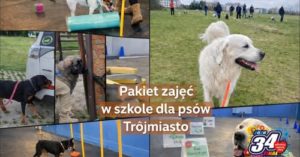 Read more about the article Gramy z WOŚP
