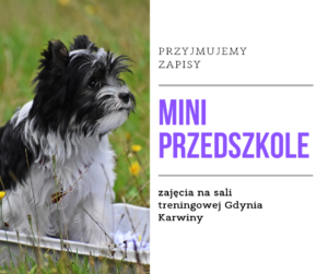 Read more about the article Mini przedszkole