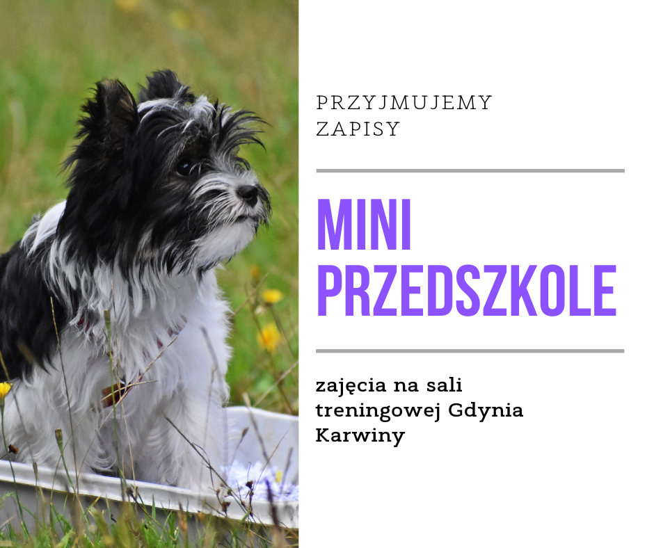 You are currently viewing Mini przedszkole