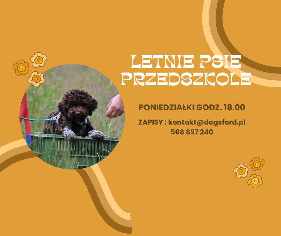 Read more about the article Letnie psie przedszkole