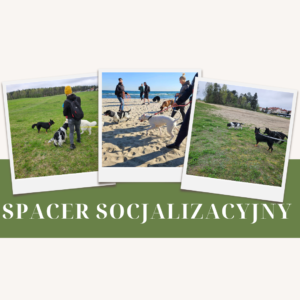 Read more about the article Spacer socjalizacyjny 11.01.2025