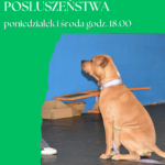 SALA TRENINGOWA GDYNIA KARWINY UL, GAŁCZYŃSKIEGO 3