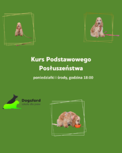 Read more about the article Kursy podstawowego posłuszeństwa