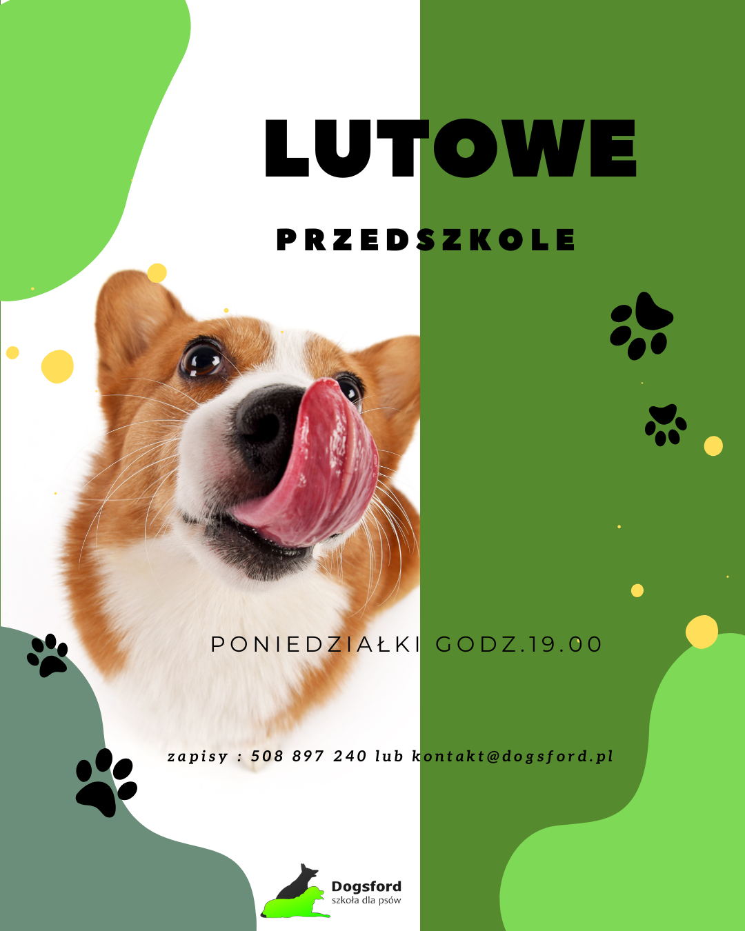 You are currently viewing Psie przedszkole