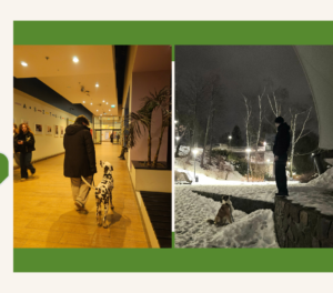 Read more about the article Kurs średnio zaawansowany