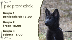 Read more about the article Psie przedszkole